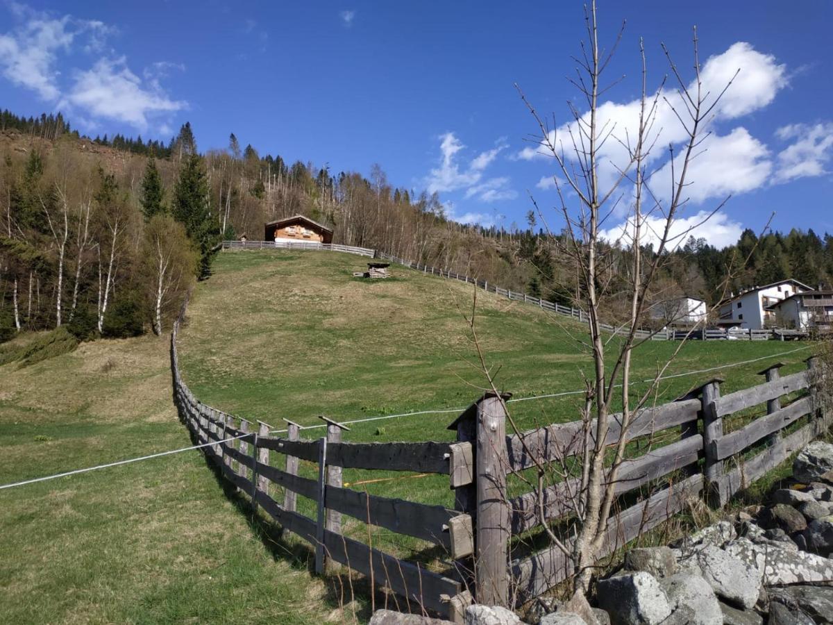 Baita Del Nonno Dei Pitoi Villa Bedollo Exterior foto